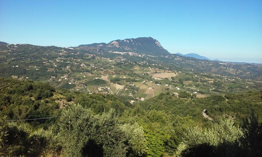 Agriturismo San Michele Paternopoli Екстериор снимка